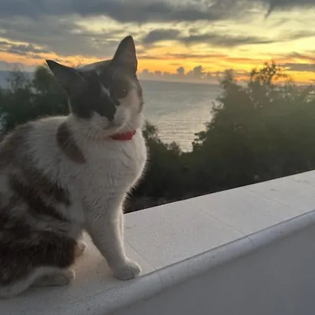 Casa Sul Mare Pensionat Agrigento