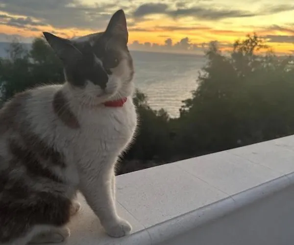 Casa Sul Mare Affittacamere Agrigento